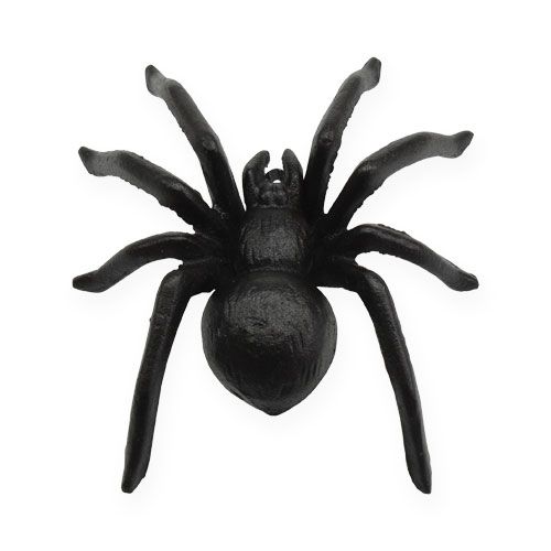 Floristik24 Hämähäkki Tummanruskea 13,5 cm