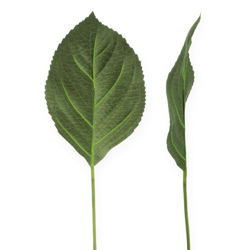 kohteita Hortensia Leaf koriste L31cm 26kpl