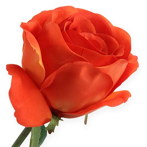 kohteita Koristeelliset ruusut oransseja 32cm 6kpl