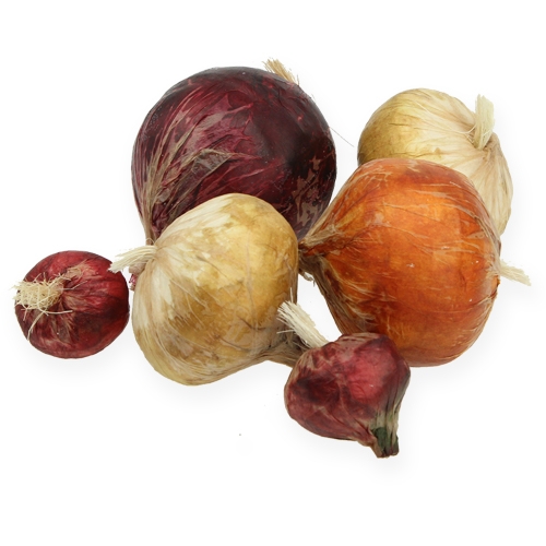 Floristik24 Sipuli iso ja pieni keinotekoinen 14kpl.