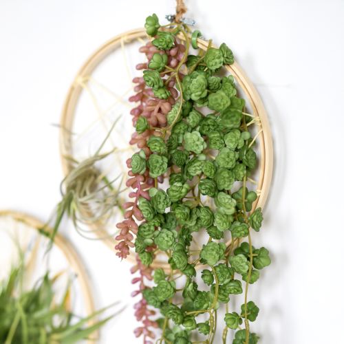 kohteita Echeveria keinotekoiset riippuvat kasvit vihreänä L 12 cm P 50 cm