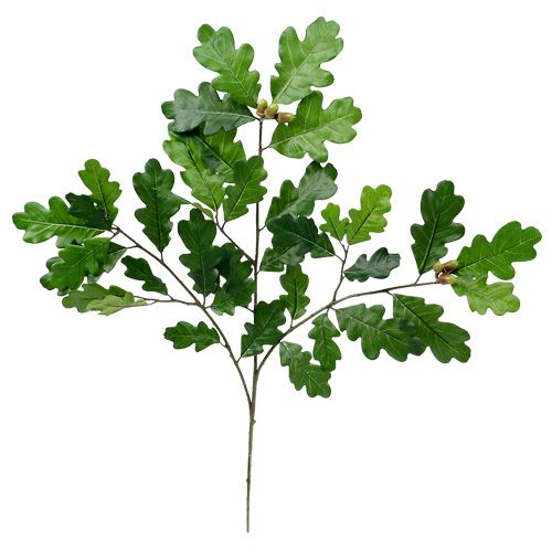 Floristik24 Tammi oksa vihreä 68cm