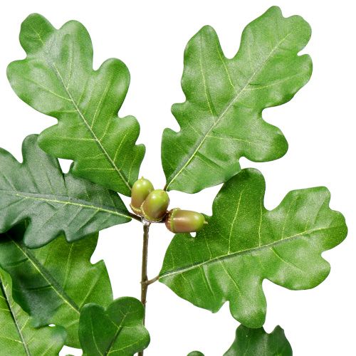 Floristik24 Tammi oksa vihreä 68cm