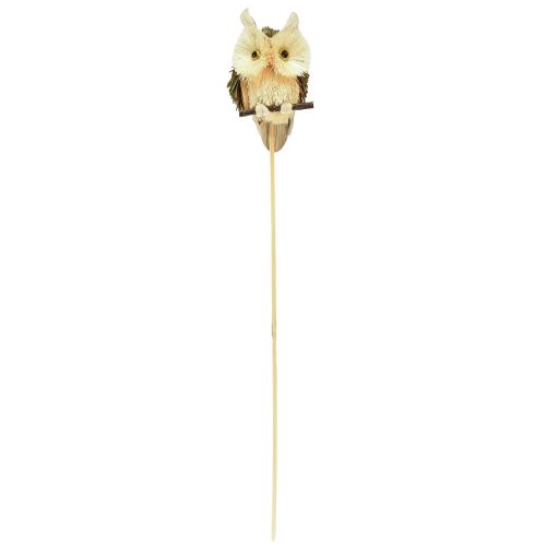 kohteita Pöllö koriste kukkatulpat syksyn koristelu luonnollinen Ø4cm K8cm 4kpl