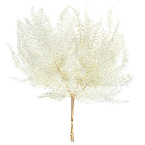 kohteita Saniainen Koristeellinen saniainen Fronds Säilötyt Valkaistu L45cm 10 kpl