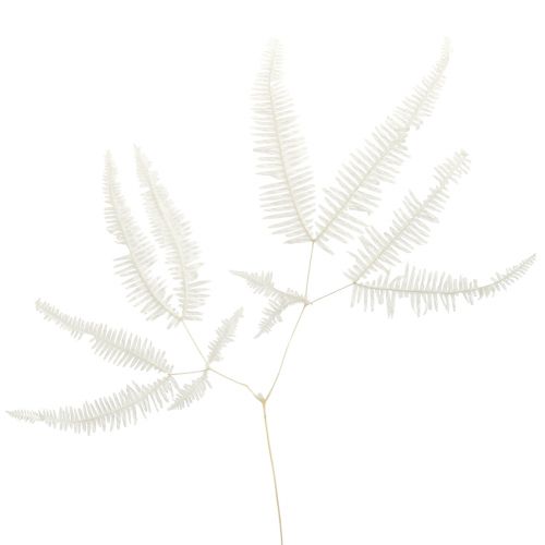 kohteita Saniainen Koristeellinen saniainen Fronds Säilötyt Valkaistu L45cm 10 kpl