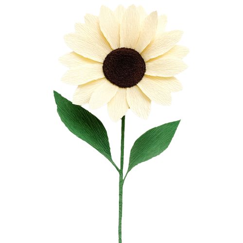 kohteita Kukkaiskaupan kreppipaperi samppanja 50x250cm