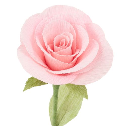 kohteita Kukkakauppiaan kreppipaperi, ruohonvihreä, 50×250cm, 5 kpl