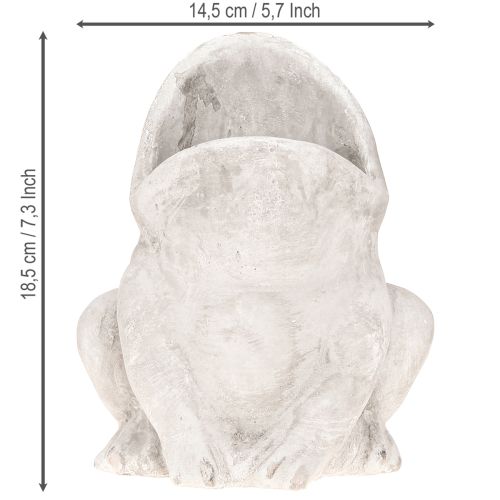 kohteita Sammakko koristekasviruukku kukkaruukku betoninharmaa K18,5cm