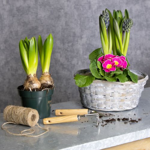 kohteita Punottu kori tyylikkäänä kukkakoristeena olohuoneessa. Pääsiäiskori, 23 cm, 6 kpl.