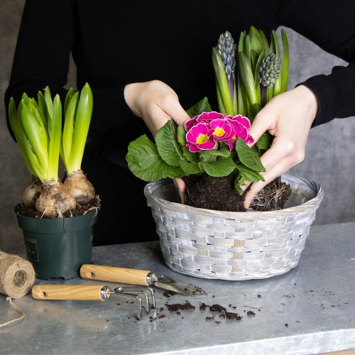 kohteita Punottu kori tyylikkäänä kukkakoristeena olohuoneessa. Pääsiäiskori, 23 cm, 6 kpl.