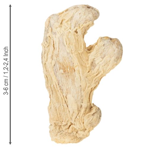 kohteita Kuivattu inkiväärikoriste Luonnonmukainen koriste 500g