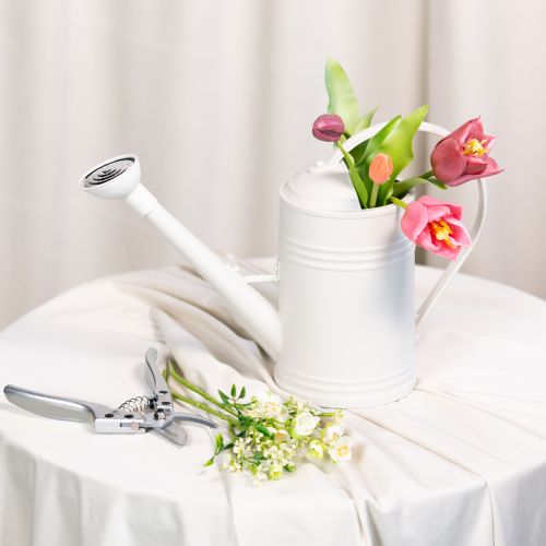 kohteita Kastelukannu irrotettavalla ruusupäällä. Ihanteellinen huonekasveille ja parvekkeille. 32 cm