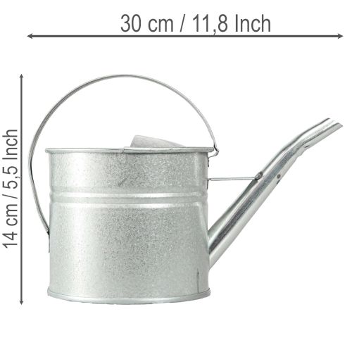 Vintage-koristeellinen kastelukannu, metallia, hopeaa, 1,25 litran ruukku | Floristik24.fi