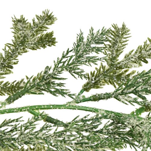 kohteita Elävä kuusiseppele pituus 180 cm - täydellinen juhlalliseen sisustukseen, raikas vihreä, ihanteellinen jouluksi ja vapaapäiviin