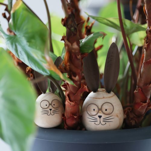 kohteita Munanmuotoinen kanihahmo koristehahmolla kevään ja vuodenaikojen koristeluun, 14 cm, 3 kpl