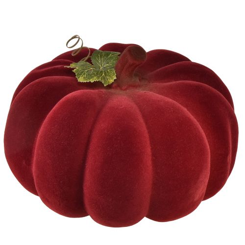 kohteita Syksykoristeita kurpitsa flokoitu punainen burgundi - kurpitsa koristelu ainutlaatuiseen syystunnelmaan 32cm