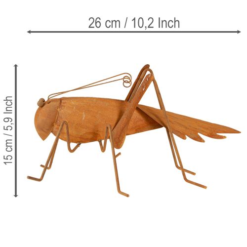 kohteita Heinäsirkka-puutarhakoriste, ruosteenvärinen metalli, vapaasti seisova koriste, 26 cm