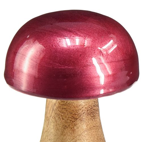 kohteita Puiset sienet koristesienet puunpunainen kiilto Ø6cm K10cm 2kpl