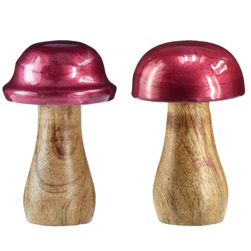kohteita Puiset sienet koristesienet puunpunainen kiilto Ø6cm K10cm 2kpl