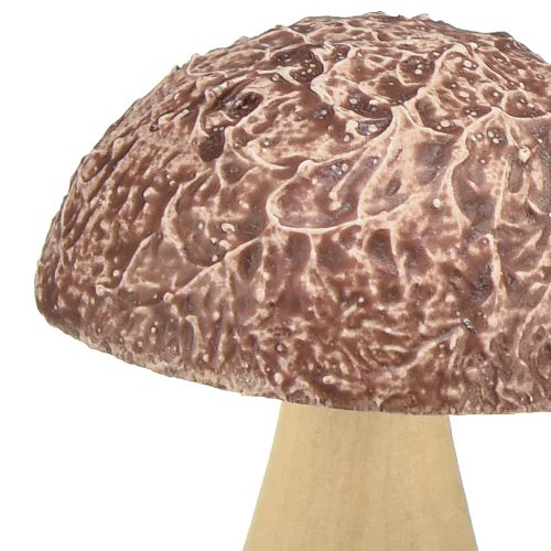 kohteita Puiset sienet koristesienet pöytäkoristeet syksyn ruskea luonnollinen 5×6cm 8 kpl