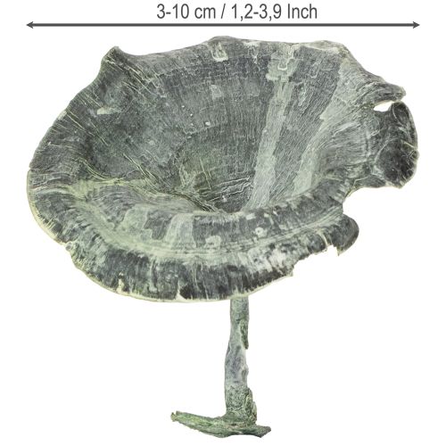 kohteita Kalix Sieni Vihreä, Valkoiseksi Pesty 100 kpl