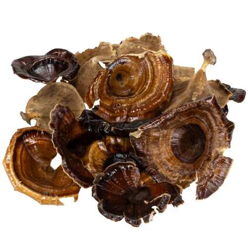 kohteita Kalix Sieni Luonnonlakattu 100 kpl