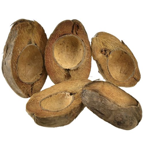 kohteita Kookos kasvikulhoksi luonnonkasviruukku 20cm 5 kpl