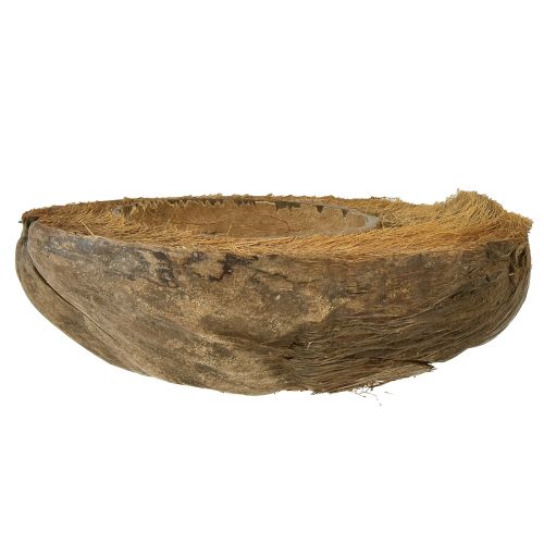 kohteita Kookos kasvikulhoksi luonnonkasviruukku 20cm 5 kpl