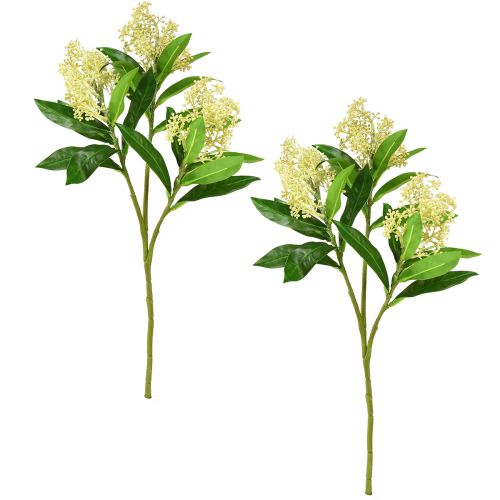 kohteita Tekokukat kerma Skimmia japonica Skimmie 45cm 2kpl
