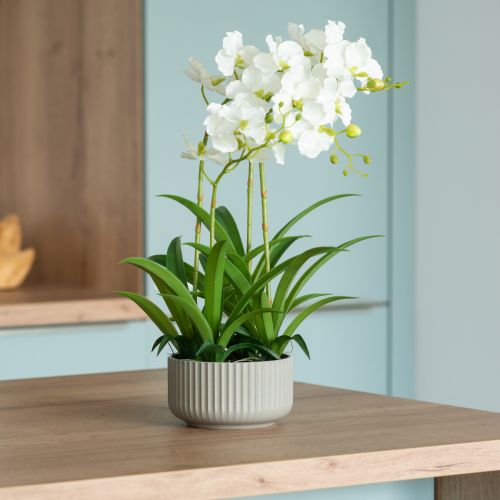 Floristik24 Tekoorkideat tekokukat ruukussa valkoinen 60cm