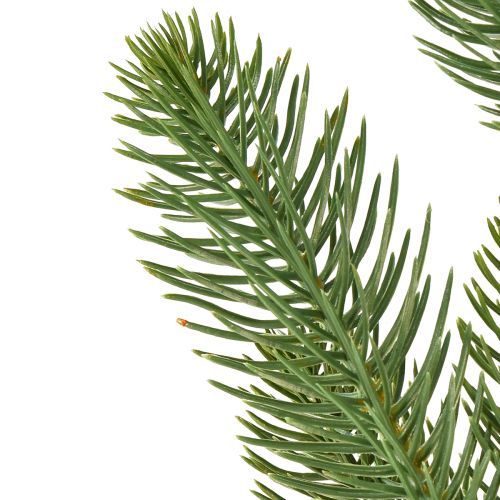 Floristik24 Tekokuusen oksat kuusen poiminta vihreänä L50cm 3 kpl