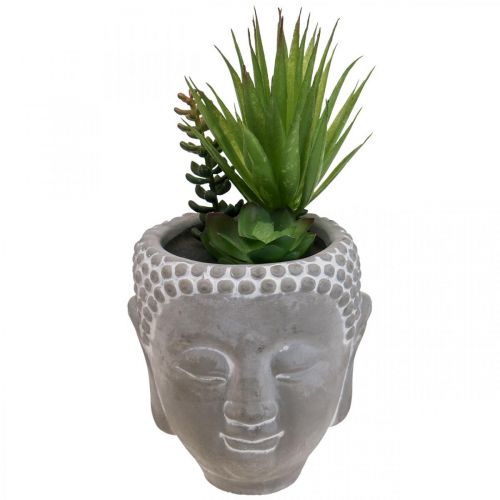 kohteita Keinotekoinen mehevä kukkaruukku Buddha Ø12cm K25cm