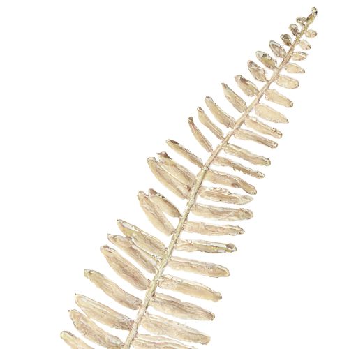 kohteita Keinotekoinen saniainen oksainen valkoinen kermanvärinen tekokasvi L120cm