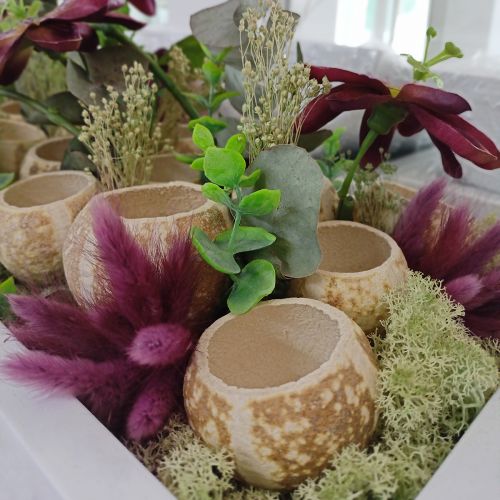 kohteita Kurpitsakoristelu Bell Cup Pumpkin Cup valkaistu 50 kpl