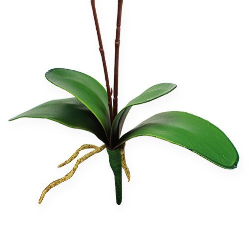 Floristik24 Deco orkidea punainen 68cm