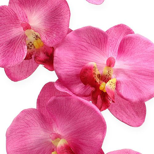 kohteita Keinotekoinen orkidea lehtineen Pinkki 68cm