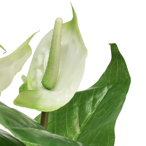 kohteita Tekokukat, flamingokukka, keinotekoinen anthurium valkoinen 36cm