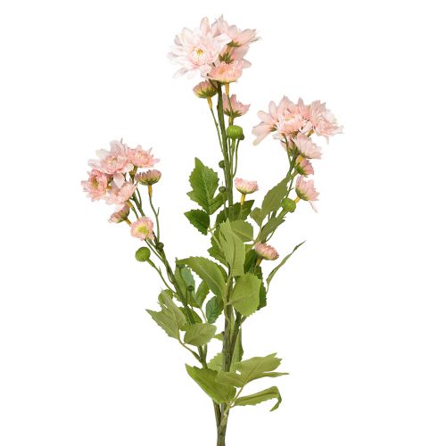 Floristik24 Tekokukat Tekoasterit Silkkikukat Pinkki 80cm