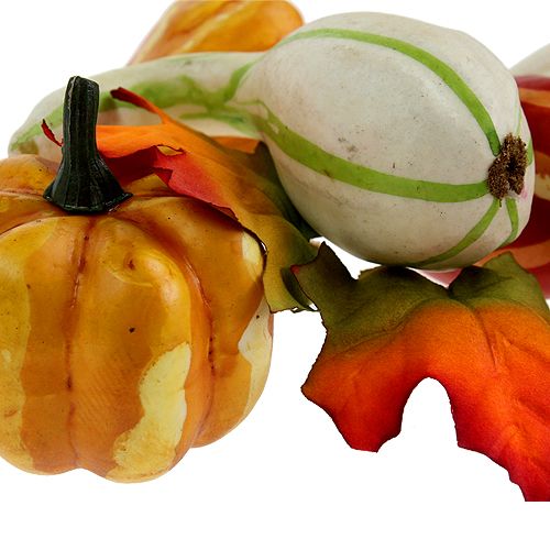 Kurpitsasekoitus värillinen 12kpl | Floristik24.fi
