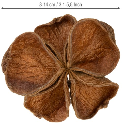 kohteita Landlotus Nature 50 kpl