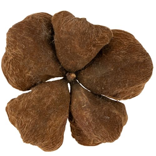 kohteita Landlotus Nature 50 kpl