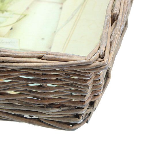 Floristik24 Pajukori laventelikuviolla 20cm