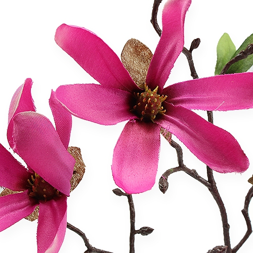 kohteita Magnolia-oksa vaaleanpunainen 45cm 4kpl