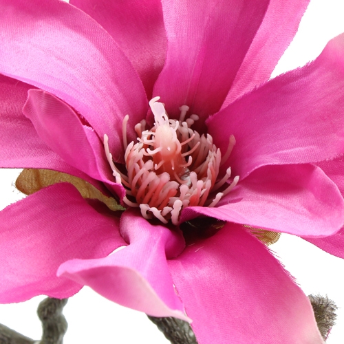 Floristik24 Magnolia-haara 45cm 3kpl