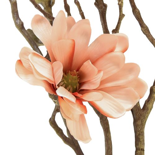 Floristik24 Magnolian oksa, jossa 6 kukkaa Magnolia keinolohi 84cm