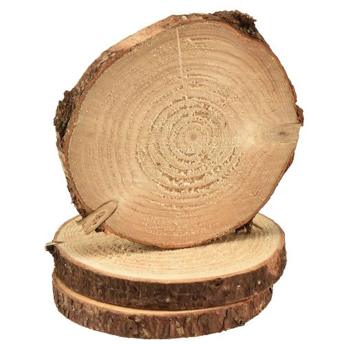 kohteita Minipuulevy kuorella luonnonpuukoristeella Ø8-9cm 9kpl