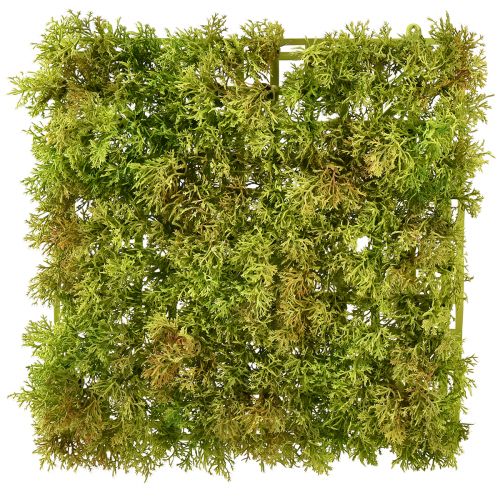 kohteita Keinotekoinen sammalmatto – täydellinen sammalkuvaan vaaleanvihreä 25×25cm