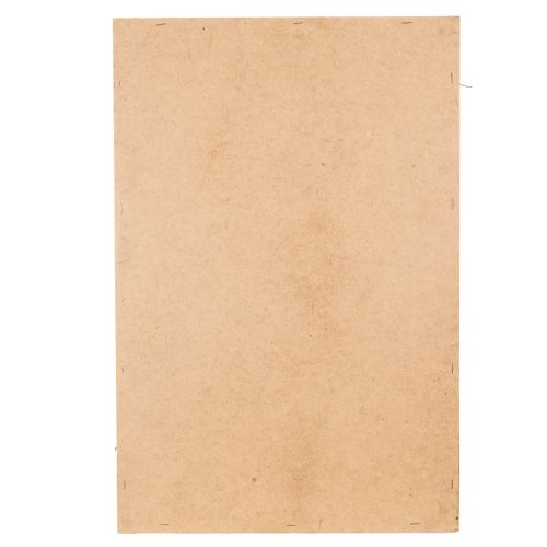 kohteita Sammalkuva, aitoa säilytettyä sammalta ja oksia, luonnonvärinen, 60 × 40 cm