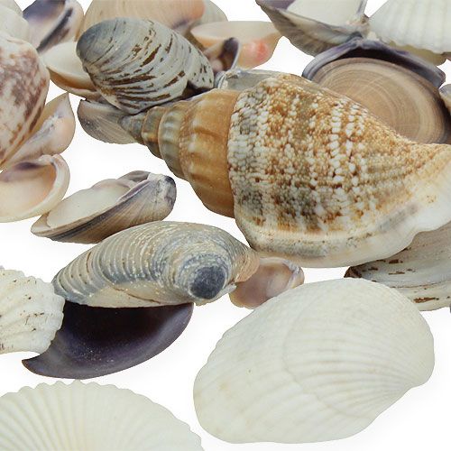 kohteita Shell mix natural 400g